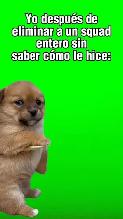 Perrito Temblando