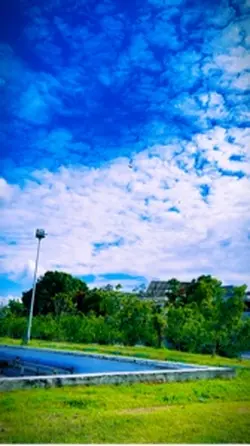 Natural view