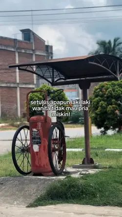 setulus apapun laki