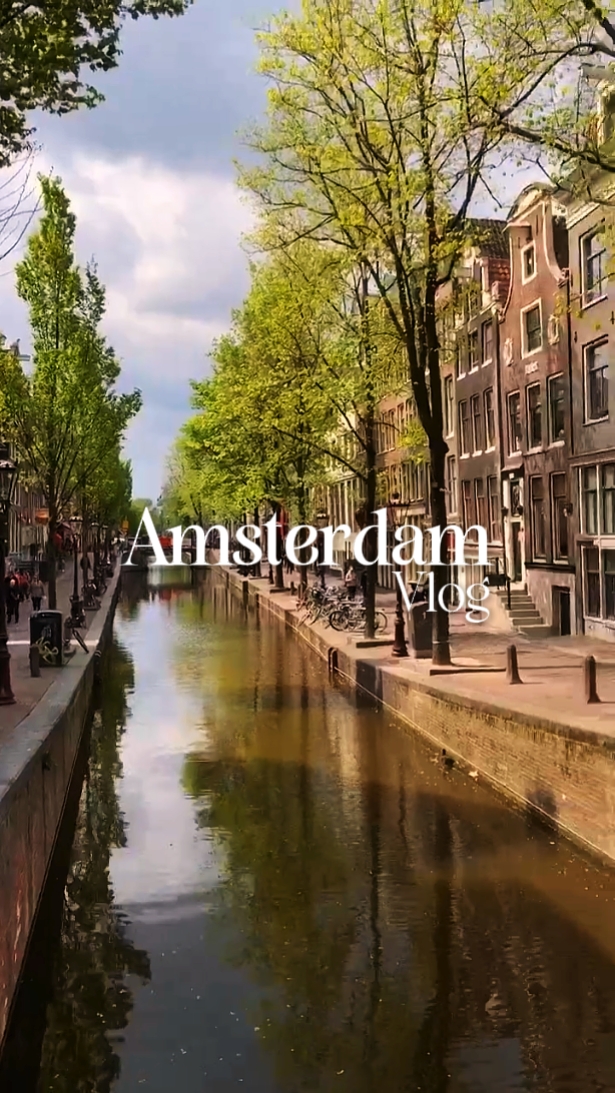 amsterdam vlog
