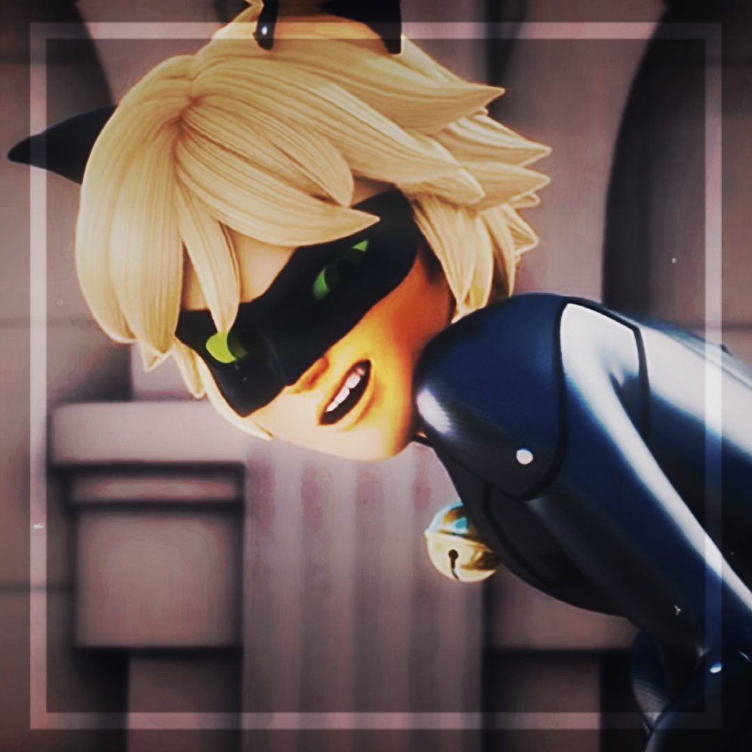 Kucing noir edit