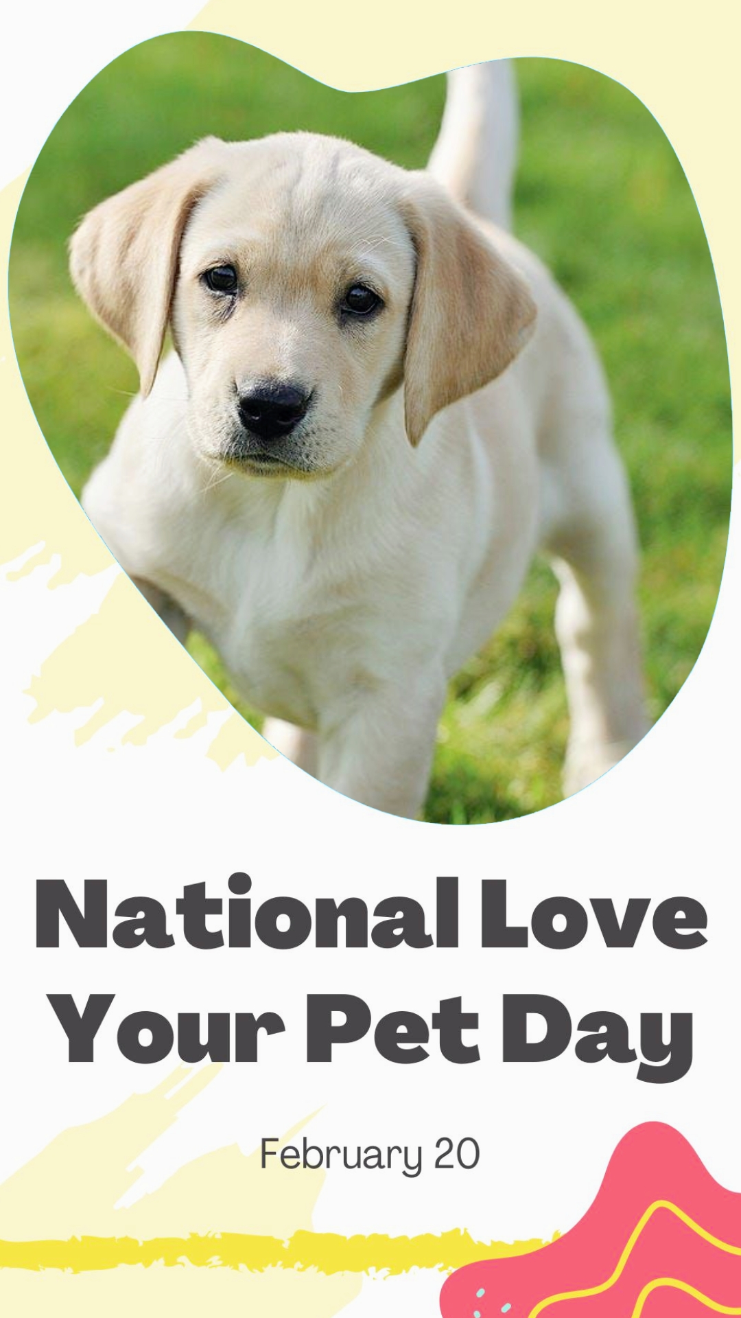Love Your Pet Day