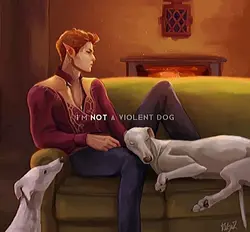 I’m not a violent 🐶