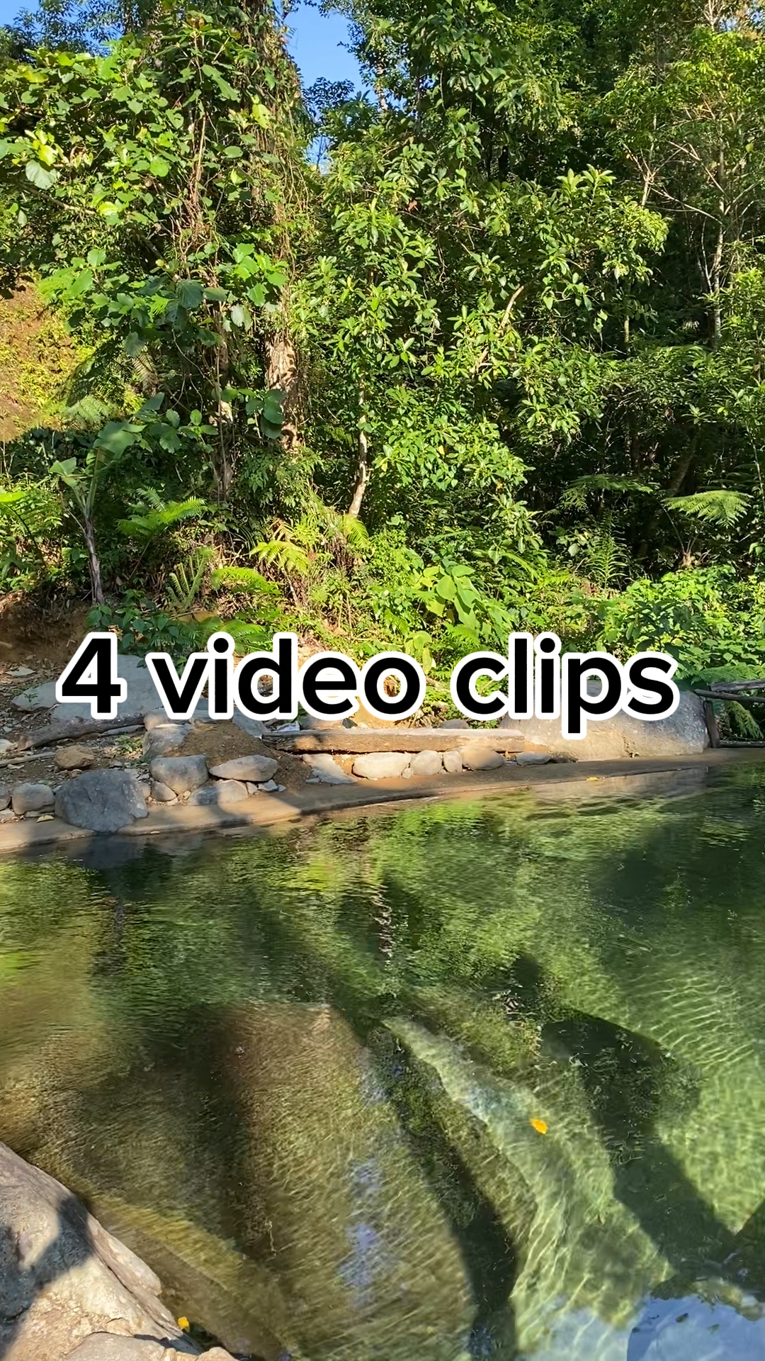 # natureblog # vlog 