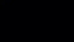 tiktok viral