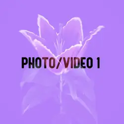 Trend Edit New