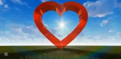 A broken heart