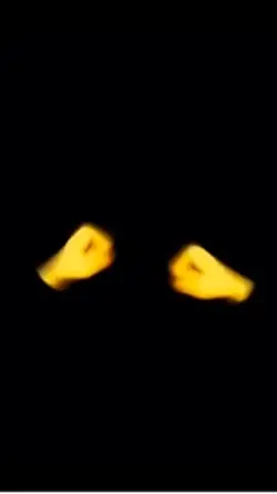 Emoji likes you🥵🤫