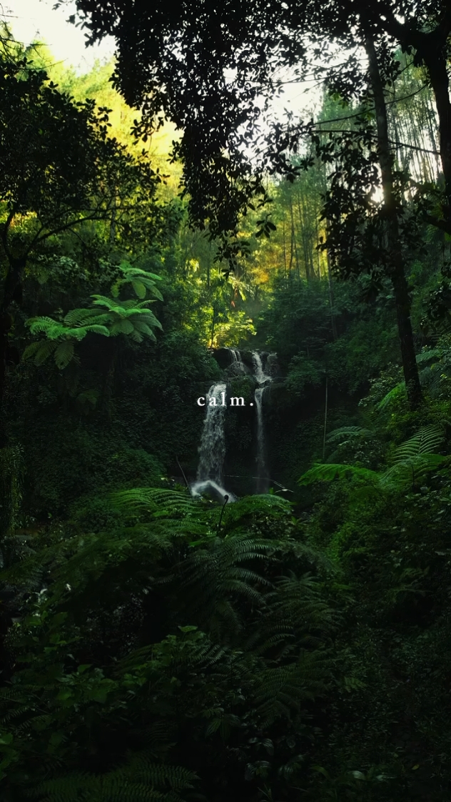 Calm