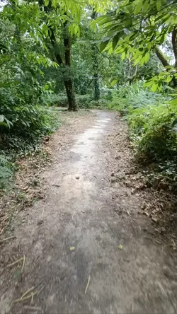la goutte d'eau 