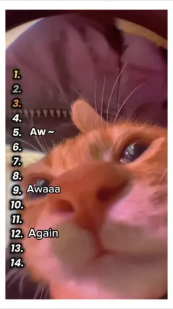 Ranking