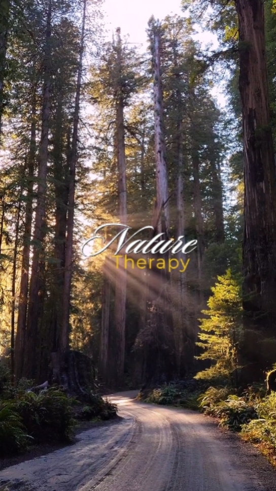 Nature Therapy