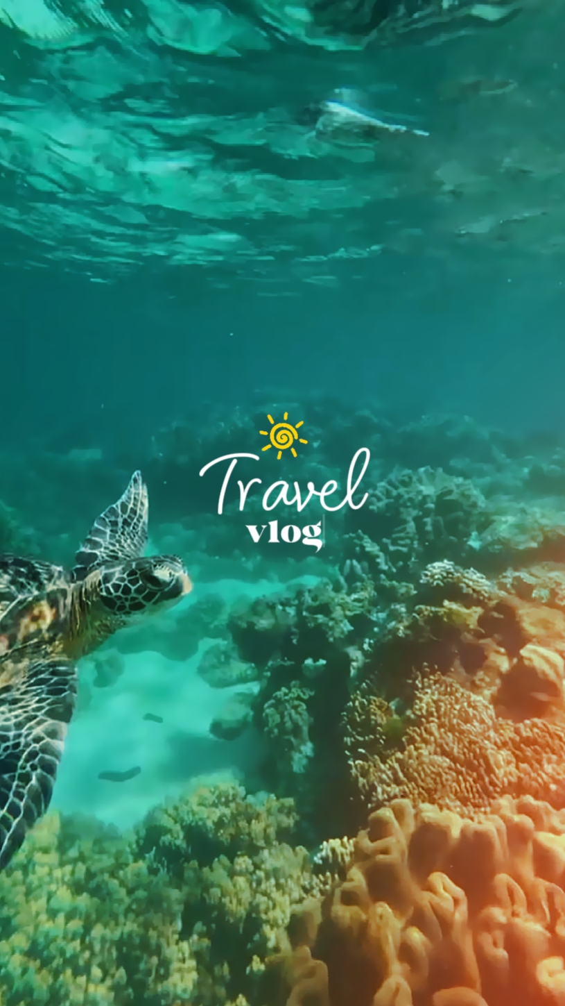 travel vlog