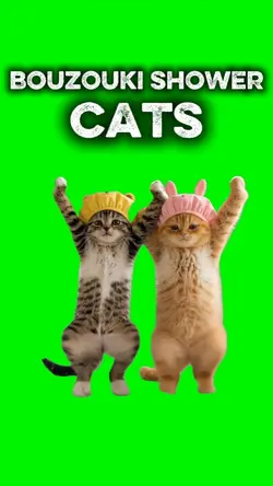 Bouzouki Shower Cats