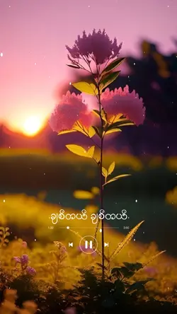 ใส่รูปเพลงโปรด