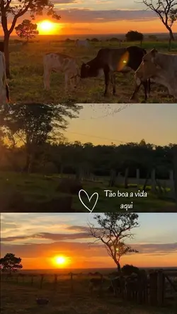 Vida na roça