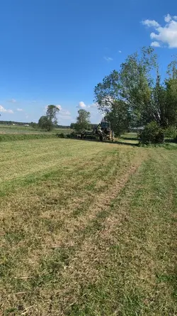 polska kur góra 