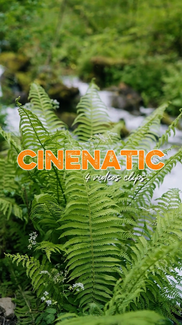 Rak cinematográfico