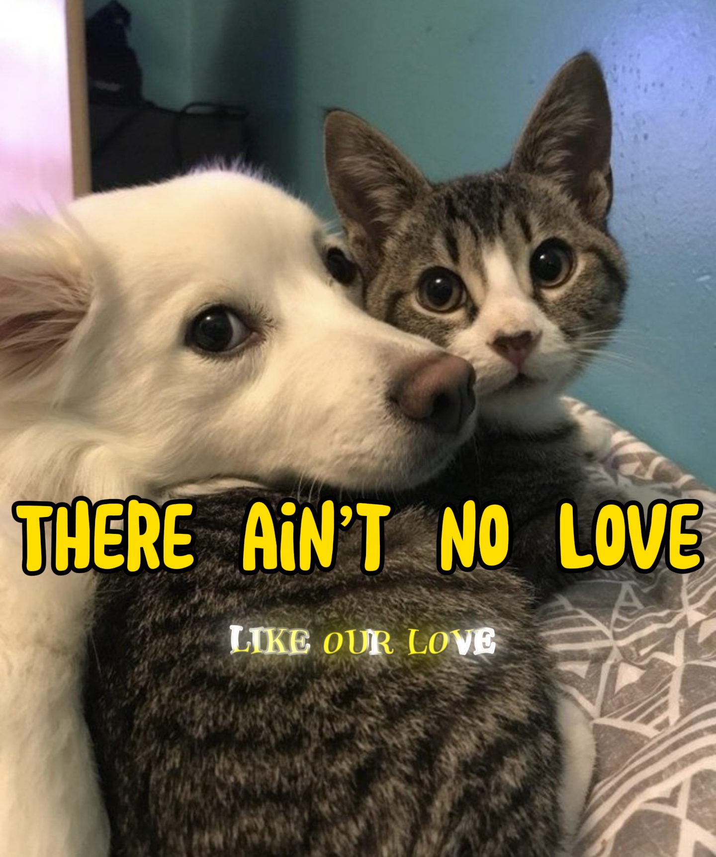 Il n'y a pas d'amour
