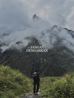 SELIMUT TETANGGA