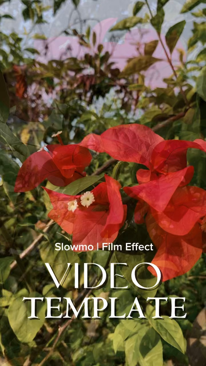 Video Template