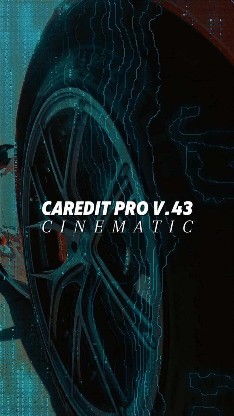 CAREDIT PRO V.43