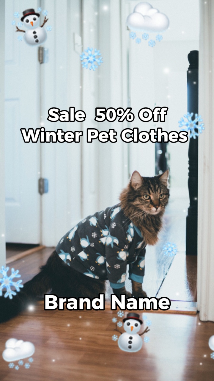 Winter Pet Clothes TTStyle