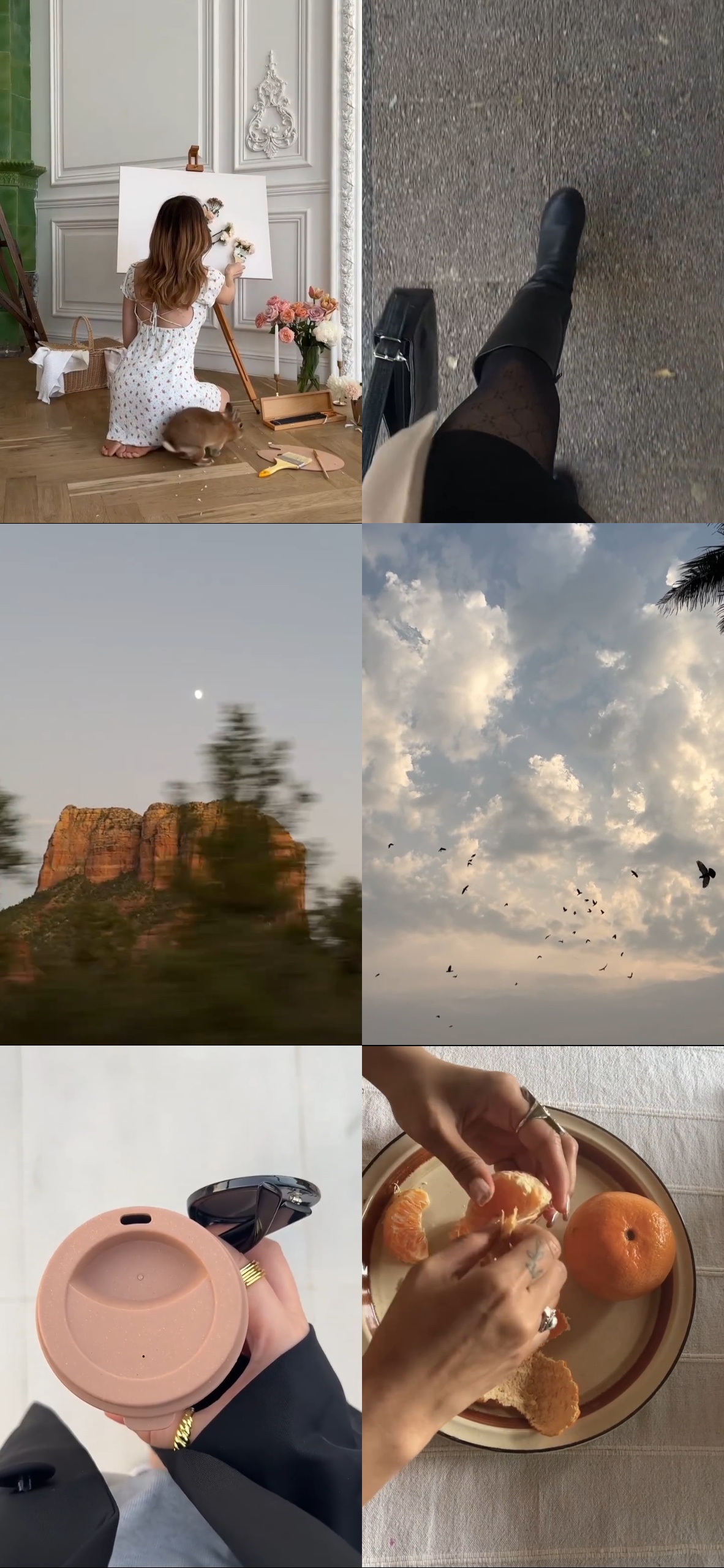 6 grid video 