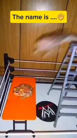 WWE Frogs