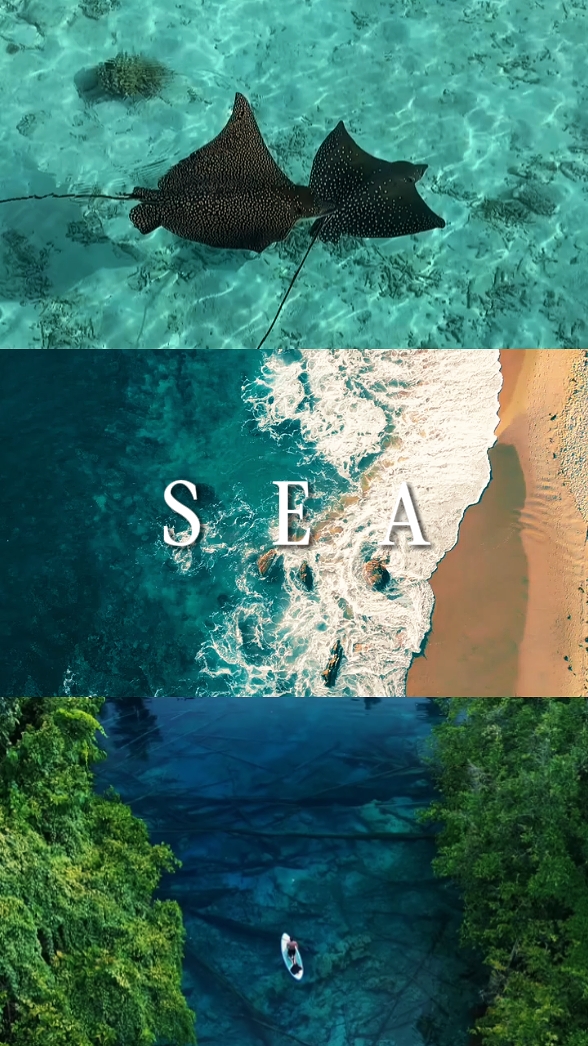 mer 