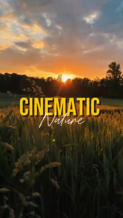 Cinematic 