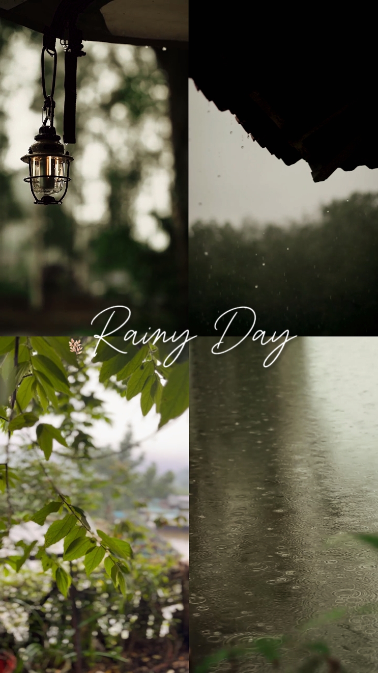 Rainy day 