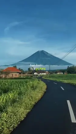 teh hijau