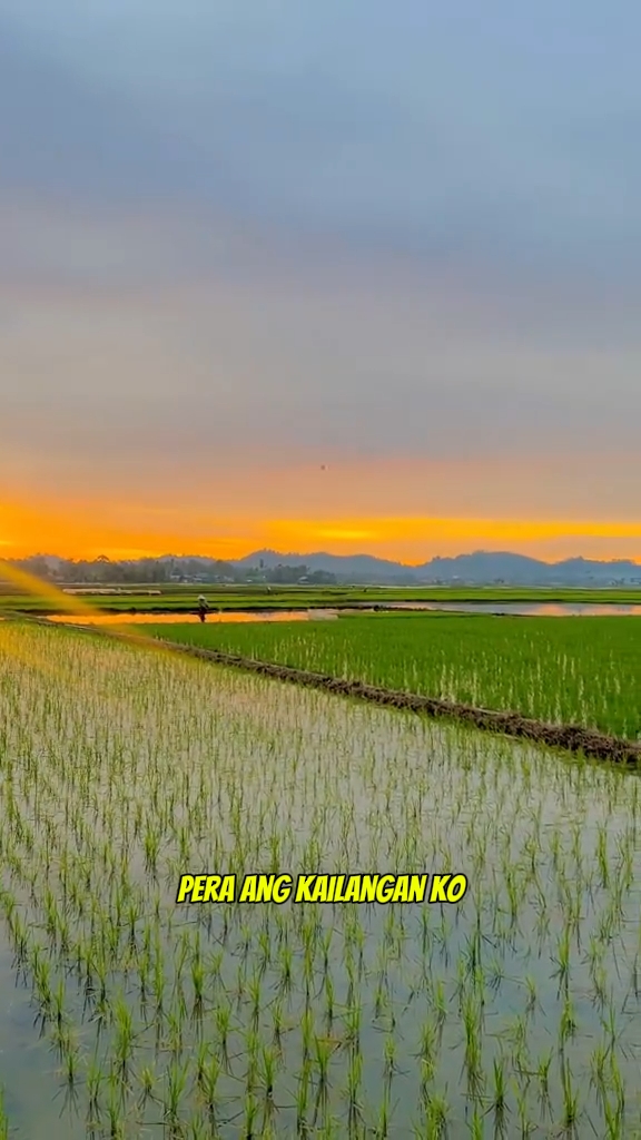 Pera kaylangan ko