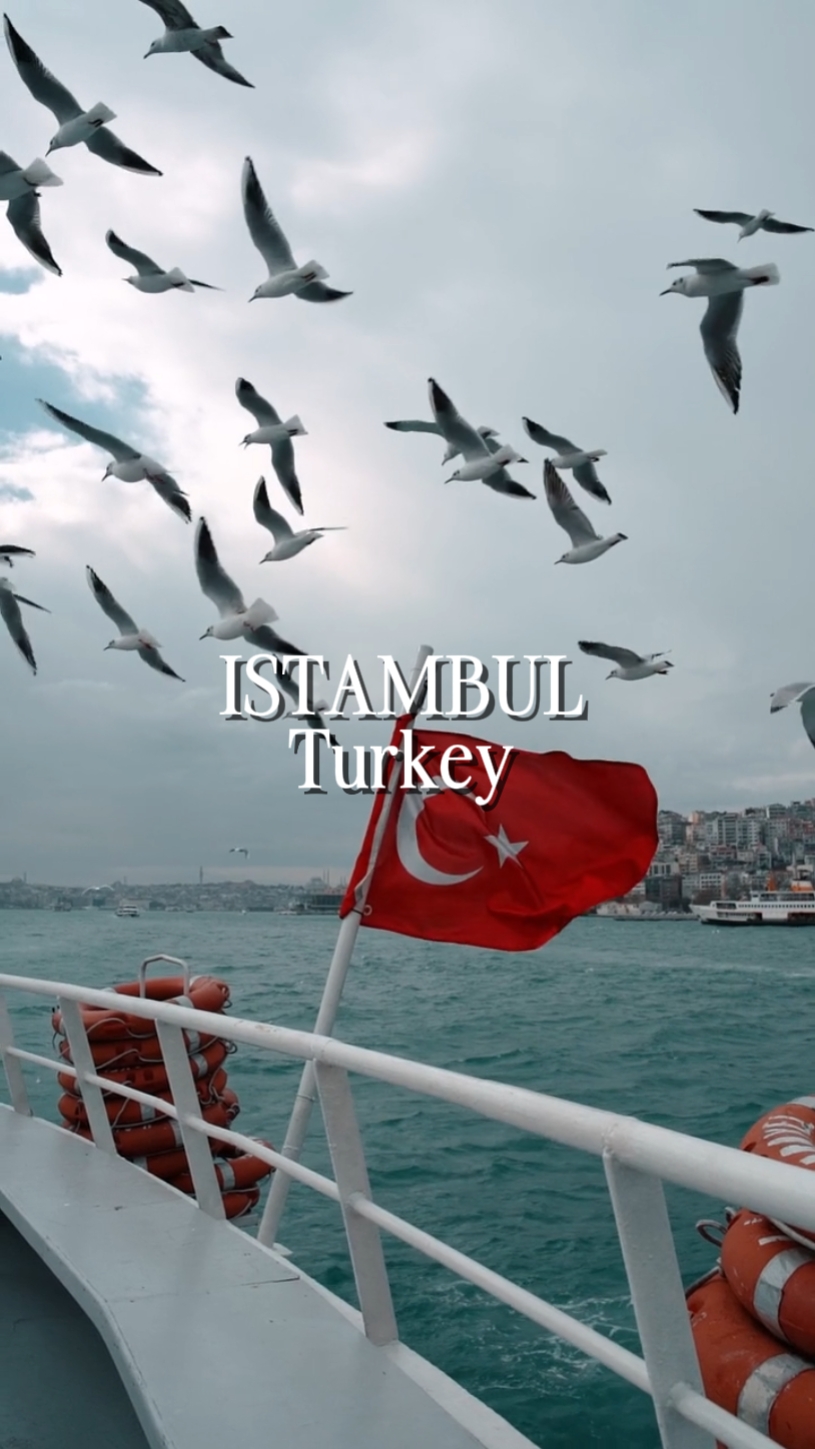 ISTAMBUL TURKEY 