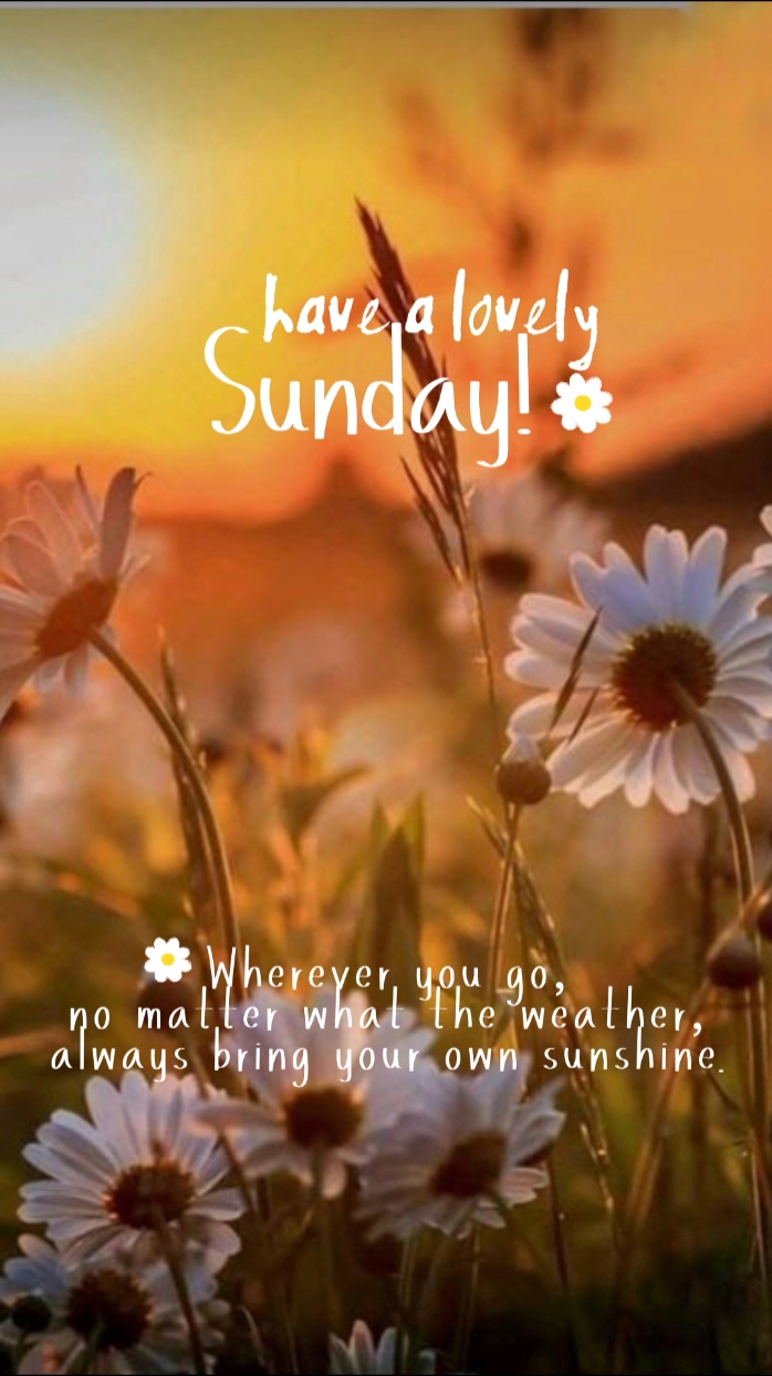 Have a Lovely Sunday