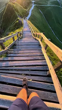 6 clips wild nature 