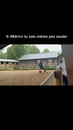 Sauter 