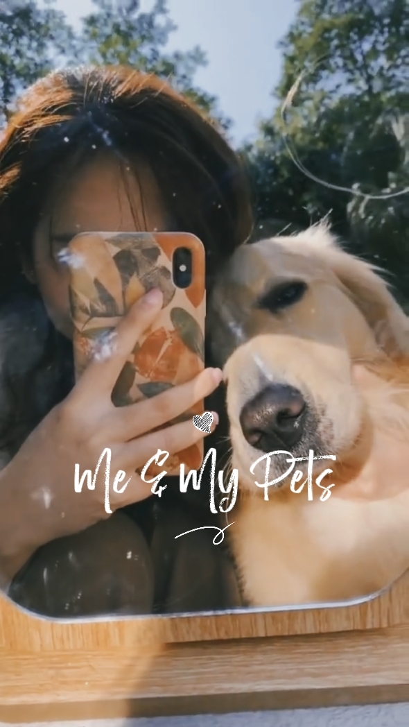 Me & My Pets
