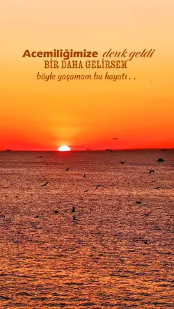 yeni şablon