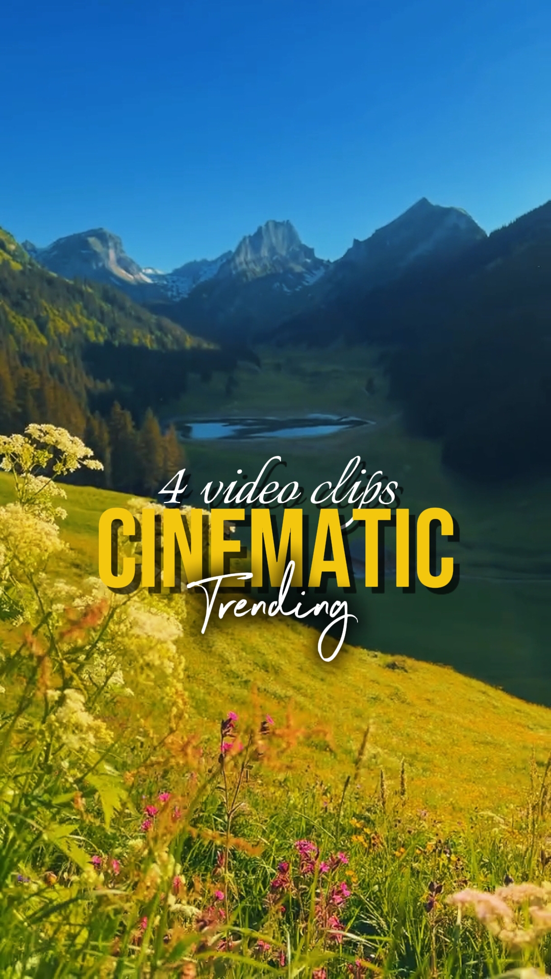 TENDANCE CINÉMATIQUE
