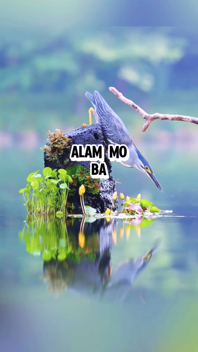Alam Mo Ba