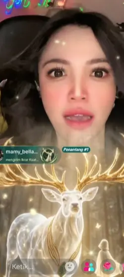 Video Gift Tiktok