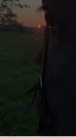 Bajo Perfil 🤠