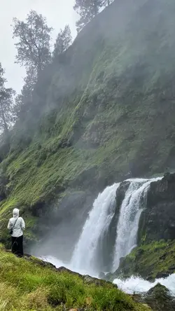 nature vibes
