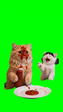 KITTEN TEASING CAT