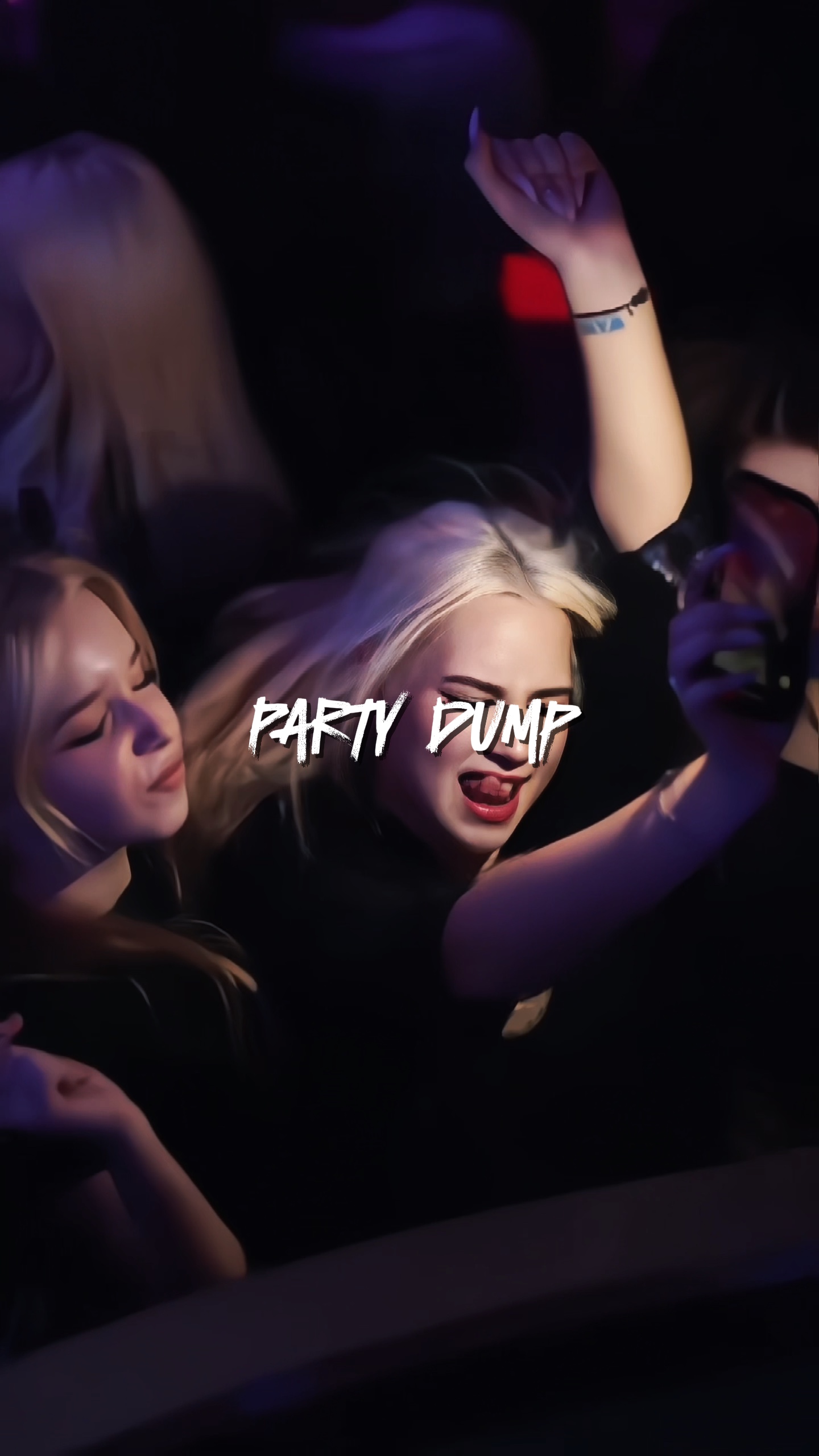 DUMP DE FIESTA