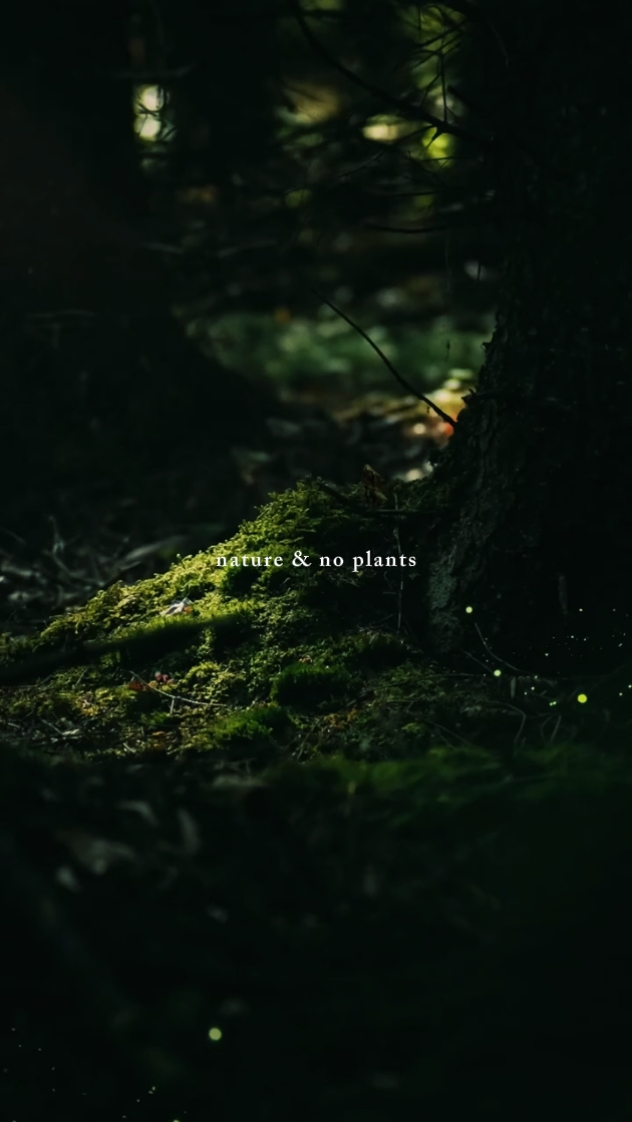 Nature & no plants 