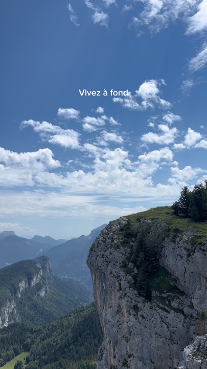 Vivez à querida! 