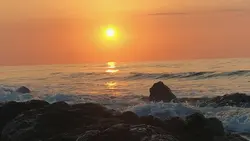landscape 1 video